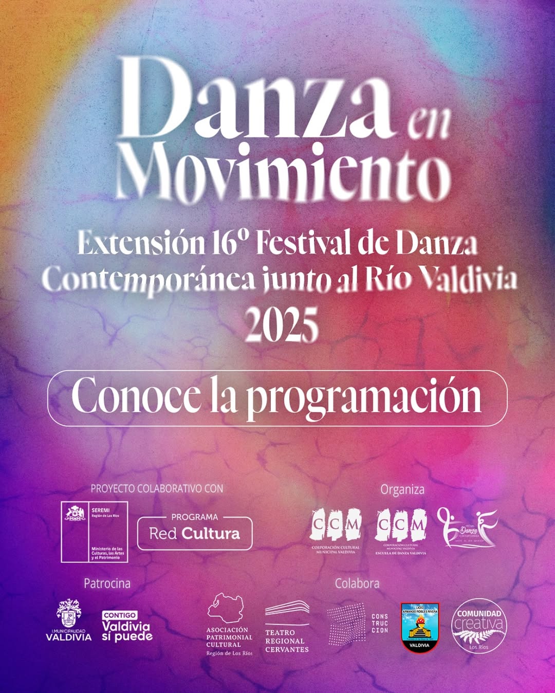 ✨ Danza en MovimientoExtensión del 16° Festival de Danza Contemporánea junto al Río Valdivia 202